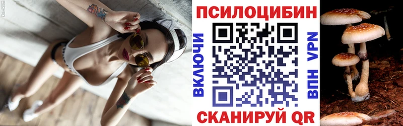 Галлюциногенные грибы Cubensis  Берёзовский 